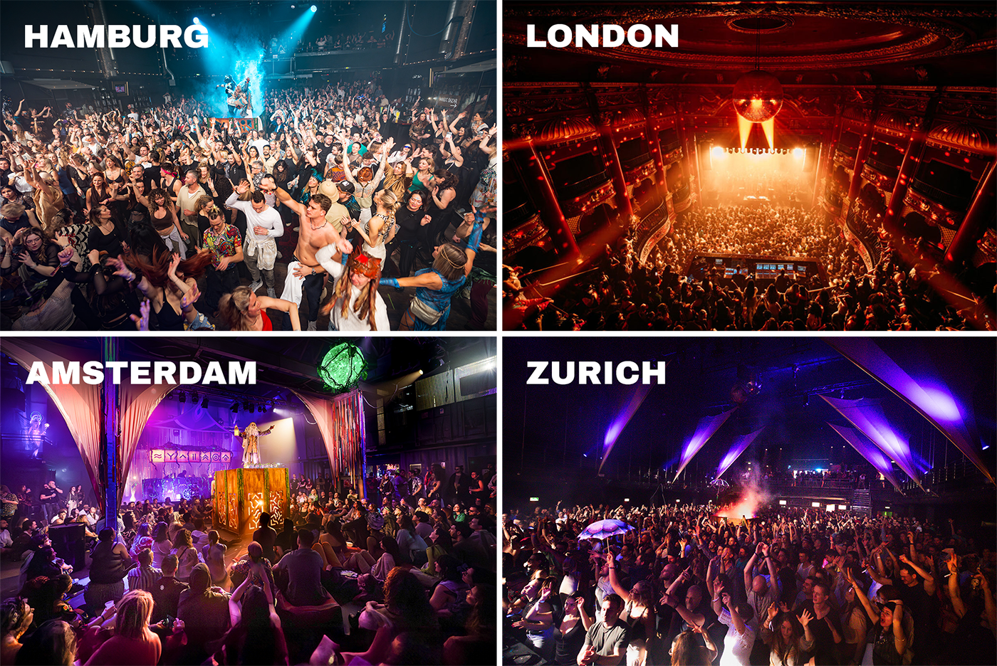 7 vibes journey zurich